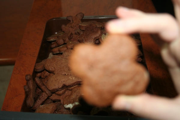 Akcja pierniczek 2013